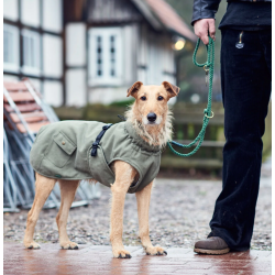 Hundemantel Hunter Uppsala trend in kaki