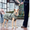 Hundemantel Hunter Uppsala trend in kaki