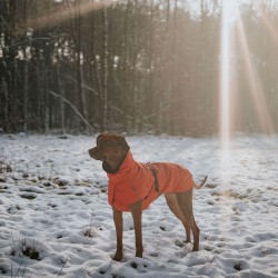 Hundemantel Hunter Nordby orange