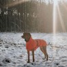 Hundemantel Hunter Nordby orange