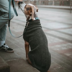 Hunter Hundepullover Genf grau