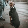 Hunter Hundepullover Genf grau
