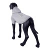 Rukka Pets Hoodie Sierra sweater grau