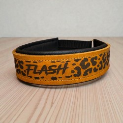 VOLLLEDER BASIC Halsband (ca. 38mm breit)