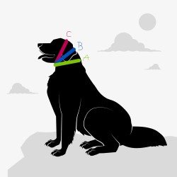Windhund Zugstopphalsband aus Rindernappaleder