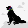 Windhund Zugstopphalsband aus Rindernappaleder