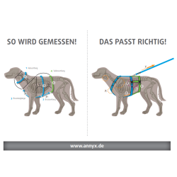 Annyx Brustgeschirr Fun - alle Größen zum Probieren bei uns im Pfotenladl - wir beraten auch telefonisch